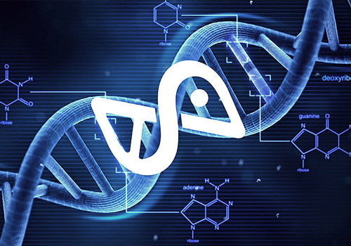 科学家发现CAS9酵素，能消除缺陷基因，有望修复成好胚